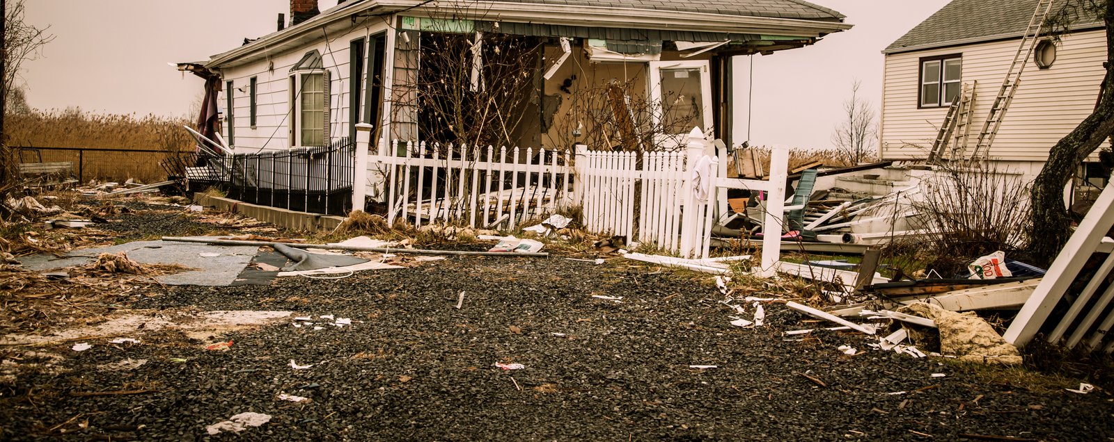 art-of-sandy-mo-staten island 2-53.jpg